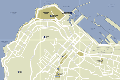 Cape Town Map : City Street Map Selection