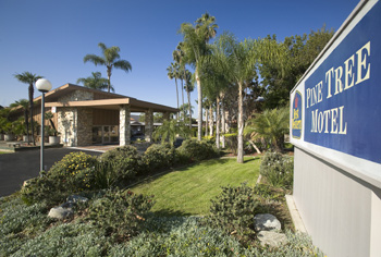 Best Western Pine Tree Motel