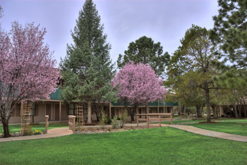 Best Western Pine Springs Inn