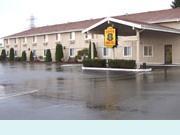 Super 8 Motel - Shelton