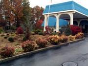White Pine-Days Inn