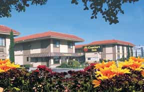 Comfort Inn Hayward