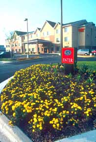 Comfort Suites Dover