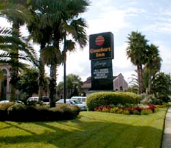 Comfort Inn Orange Park