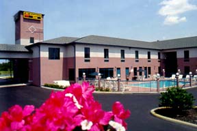 Comfort Inn Wesley Chapel