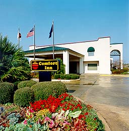 Comfort Inn Natchitoches