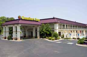 Comfort Inn Powell