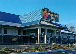 Comfort Inn Pioneer