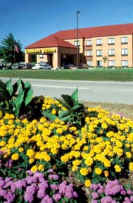 Comfort Suites Stevens Point