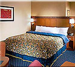 Courtyard Houston