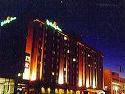 Holiday Inn Binghamton - Hawley St - Dwt, NY