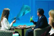 Los Delfines Summit Hotel & Casino