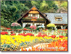 Krisdadoi Chiangmai Aprime Resort