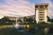 Hilton, located in the WALT DISNEY WORLD Resort