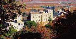 Chateau de Rochegude