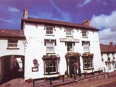 Emlyn Arms Hotel